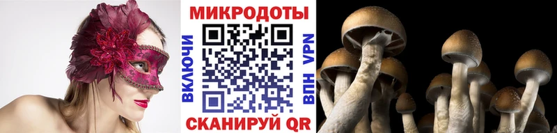Псилоцибиновые грибы GOLDEN TEACHER  Пугачёв 